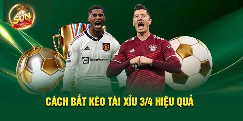 Một số bí kíp dự đoán kèo tài xỉu 3/4 chuẩn như chuyên gia
